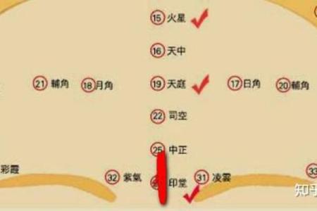 属猴2004：活力四射与智慧并存的命格解析