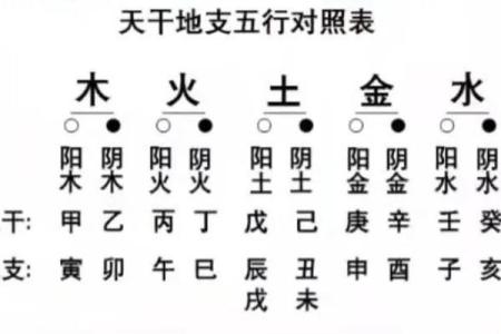 生肖的阴阳命理解析：你是阴命还是阳命？