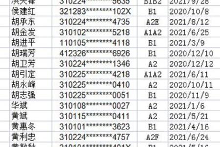 身份证尾号为1的命运解析：揭示个性与机遇的密码