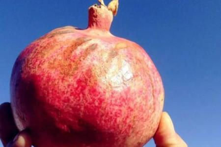 石榴命与大海命：命理中的神秘象征与人生启示