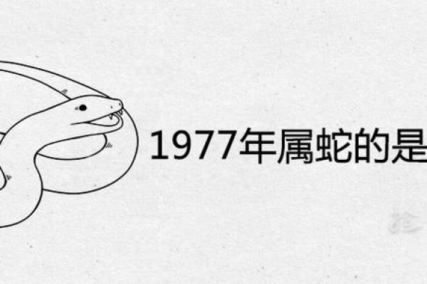 属狗的五行土命：佩戴适合的饰品让生活更加顺遂