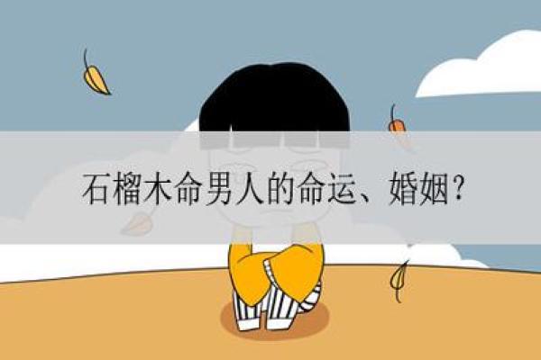 如何判断石榴木命缺少什么:全面解析与建议 如何判断石榴木命缺少什么:全面解析与建议