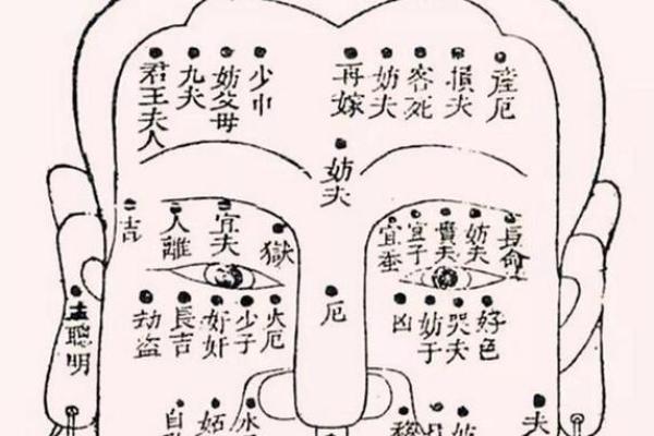 女命年柱带桃花,揭示魅力与缘分的秘密 女命年柱带桃花,揭示魅力与缘分的秘密