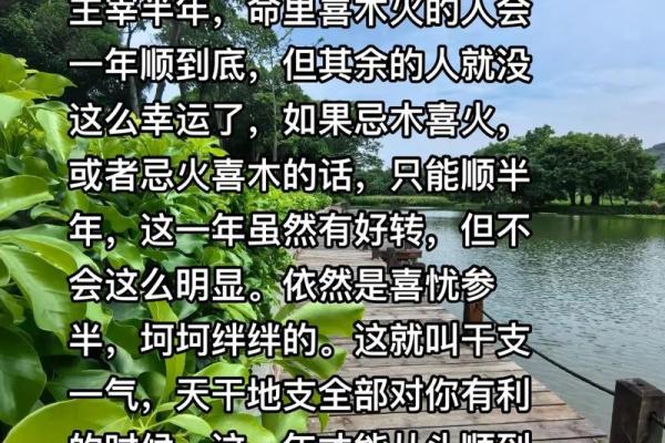 揭秘乙巳日癸未时命格的独特人生与性格特征