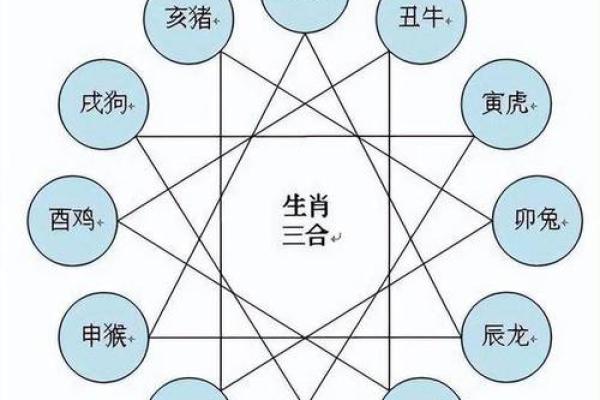 属相与婚姻:哪些属相的女性在婚姻中会面临挑战? 属相与婚姻:哪些属相的女性在婚姻中会面临挑战?