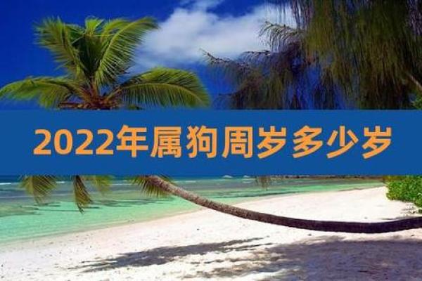 女孩属狗巳时出生,命运如何?深度解析与运势建议 女孩属狗巳时出生,命运如何?深度解析与运势建议