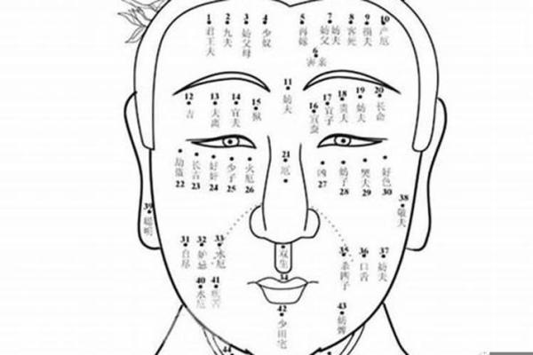 男人坤二命格解析：探寻命理背后的智慧与人生之路