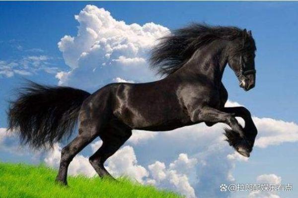 七八年属马的命运解析:探索你的出生年份带来的影响与机遇 七八年属马的命运解析:探索你的出生年份带来的影响与机遇