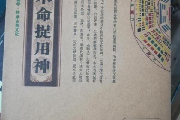 山涧水命与火命的美妙结合：灵动与热情的交响曲