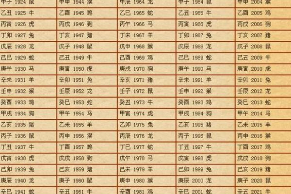 八二属龙解读：命格背后的神秘力量与人生机遇