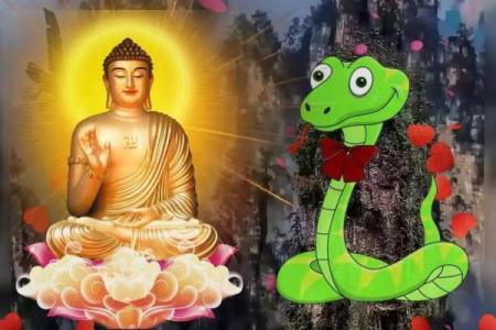 属蛇男七月出生命理解析，揭示神秘个性与人生轨迹