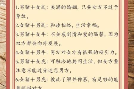 属猪人的五行命与运势解析，解读猪年人生之路