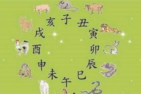 属相与婚姻：哪些属相的女性在婚姻中会面临挑战？