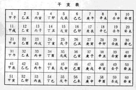 属鼠申时猴林中玩：命理中的奇妙交织与人生启示