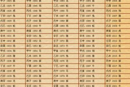 八二属龙解读：命格背后的神秘力量与人生机遇