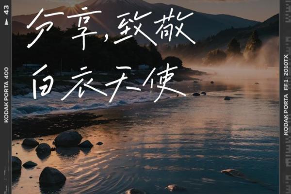 守护生命的勇者：那些为人而战的灵魂