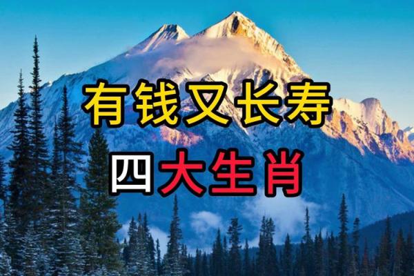 生肖女命财富特征:哪些生肖女性最具财运潜力? 生肖女命财富特征:哪些生肖女性最具财运潜力?