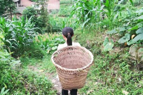 女孩出生7斤4两,揭示了她的命运与未来 女孩出生7斤4两,揭示了她的命运与未来