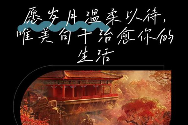 什么命不如什么命:岁月的启示与人生的选择 什么命不如什么命:岁月的启示与人生的选择