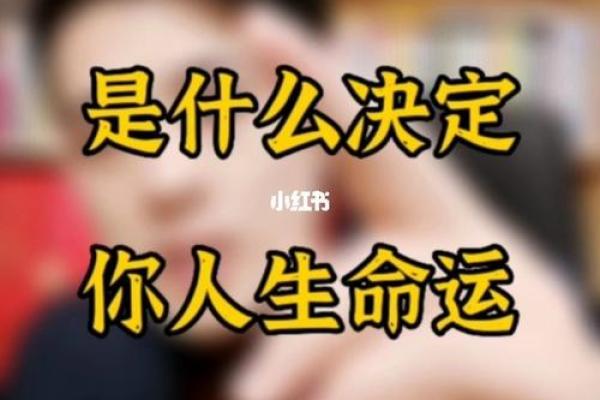 属龙十一月初九出生的人命运解析与人生指导 属龙十一月初九出生的人命运解析与人生指导
