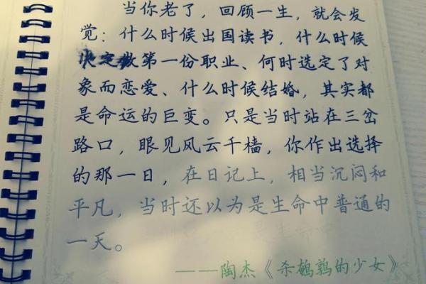 生在皇帝的脚下:命运与选择的双重交响曲 生在皇帝的脚下:命运与选择的双重交响曲