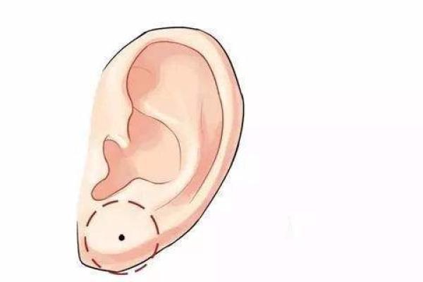 解读女命之半夫半财:命理中的独特女性命运解析 解读女命之半夫半财:命理中的独特女性命运解析