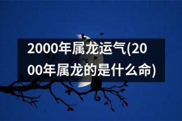 属龙木命的独特魅力与人生智慧探秘 属龙木命的独特魅力与人生智慧探秘