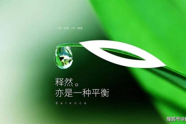 杉木命与水命的完美结合：寻找人生的平衡之道