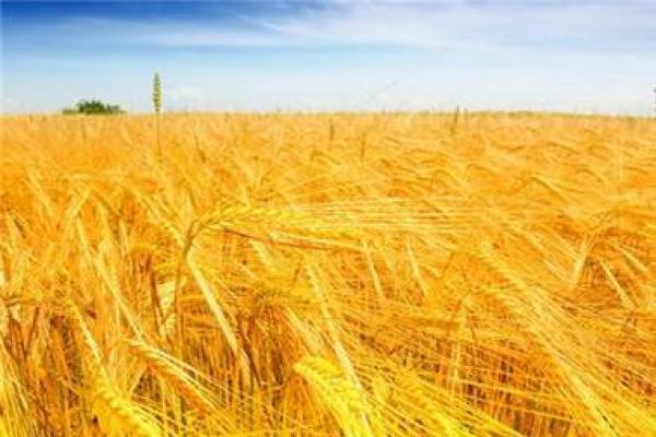 揭秘山下火命与金命之间的风水关系 揭秘山下火命与金命之间的风水关系