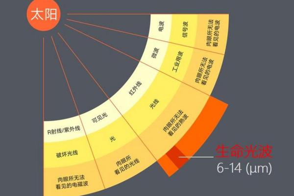 属羊人的五行命理解析:寻找生命的平衡与和谐 属羊人的五行命理解析:寻找生命的平衡与和谐