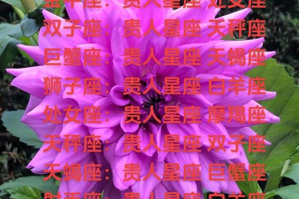 狮子座与处女座：两种星座命运的对比与探讨