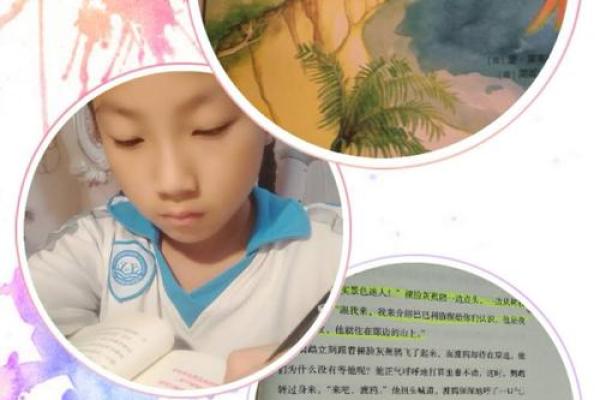 乳胶行业与五行之命：探寻自然与创意的契合