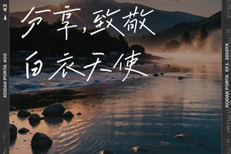 守护生命的勇者：那些为人而战的灵魂