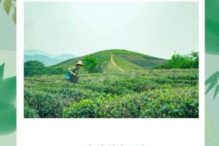 属龙十一月初九出生的人命运解析与人生指导