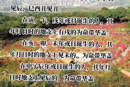 属马路旁土命的人适合的字与命理解析