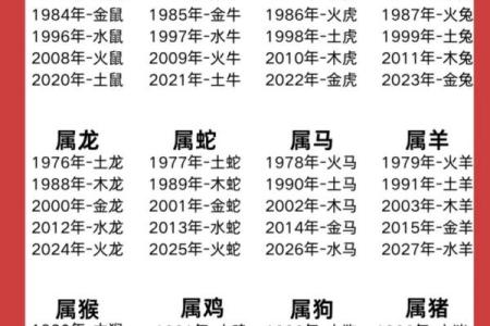 属牛人的五行命理解析与生活指南