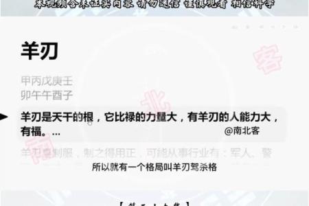 深入探秘：正宗盲派命理学的神秘与智慧