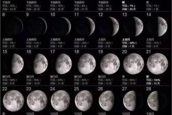 属蛇三月出生的人命星解析：探索命运与性格的奥妙