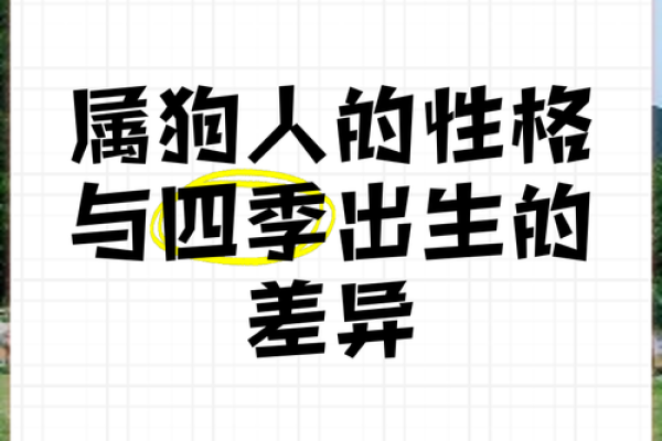 属狗四月份出生的人命运解析：珍惜机遇，勇敢追梦