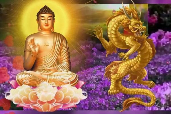 生肖牛:勤劳智慧,一生顺遂的命运之道 生肖牛:勤劳智慧,一生顺遂的命运之道