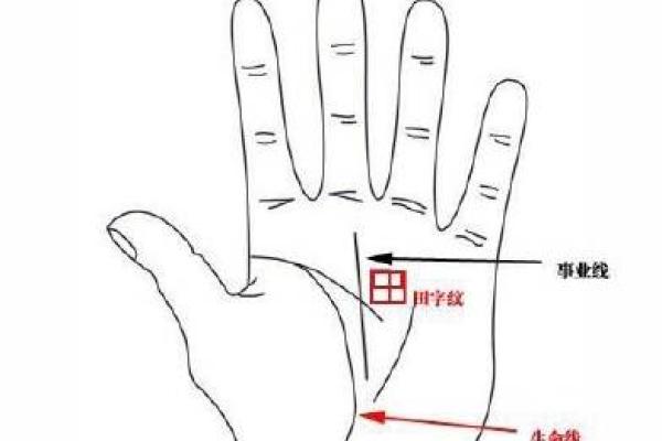 手中有田字格的女人,命运走向何方? 手中有田字格的女人,命运走向何方?