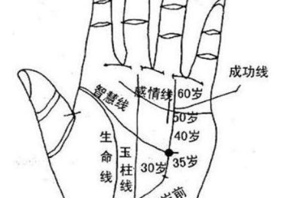 属猴农历十三生的命理分析与生活指导 属猴农历十三生的命理分析与生活指导