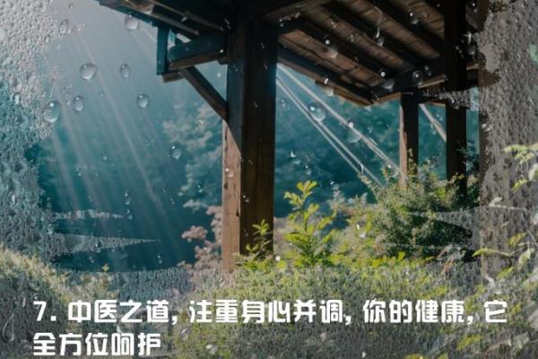 揭示五行与官命的奥秘:中医的智慧与人生规划 揭示五行与官命的奥秘:中医的智慧与人生规划