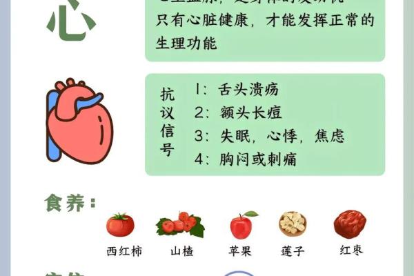 揭示五行与官命的奥秘:中医的智慧与人生规划 揭示五行与官命的奥秘:中医的智慧与人生规划