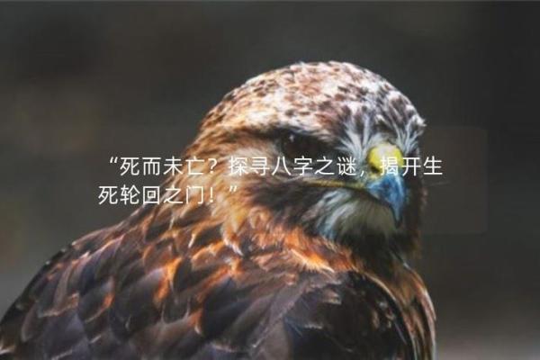 八字中的女儿象征与命理解析:揭开命运之谜的面纱 八字中的女儿象征与命理解析:揭开命运之谜的面纱