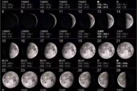 属蛇三月出生的人命星解析：探索命运与性格的奥妙