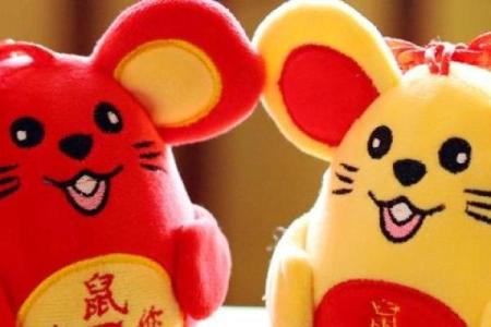 属鼠人：五行命理与人生无限可能的探索之旅