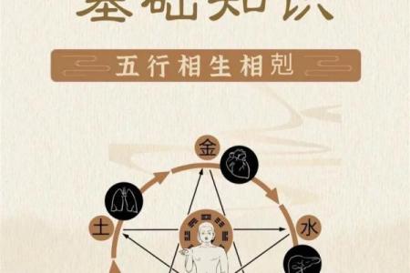 生肖猴的命理探秘：聪明灵巧与智慧人生的碰撞