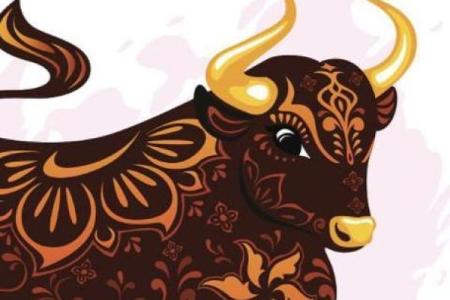 属牛农历六月二十九出生的人生命运分析与性格特点