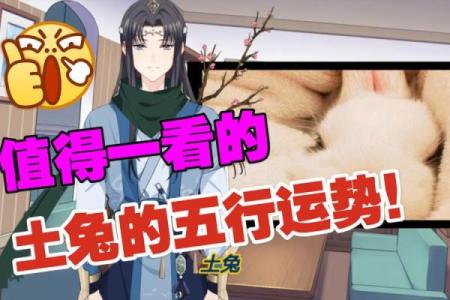 生肖兔的命格解析：温柔与智慧的结合之道